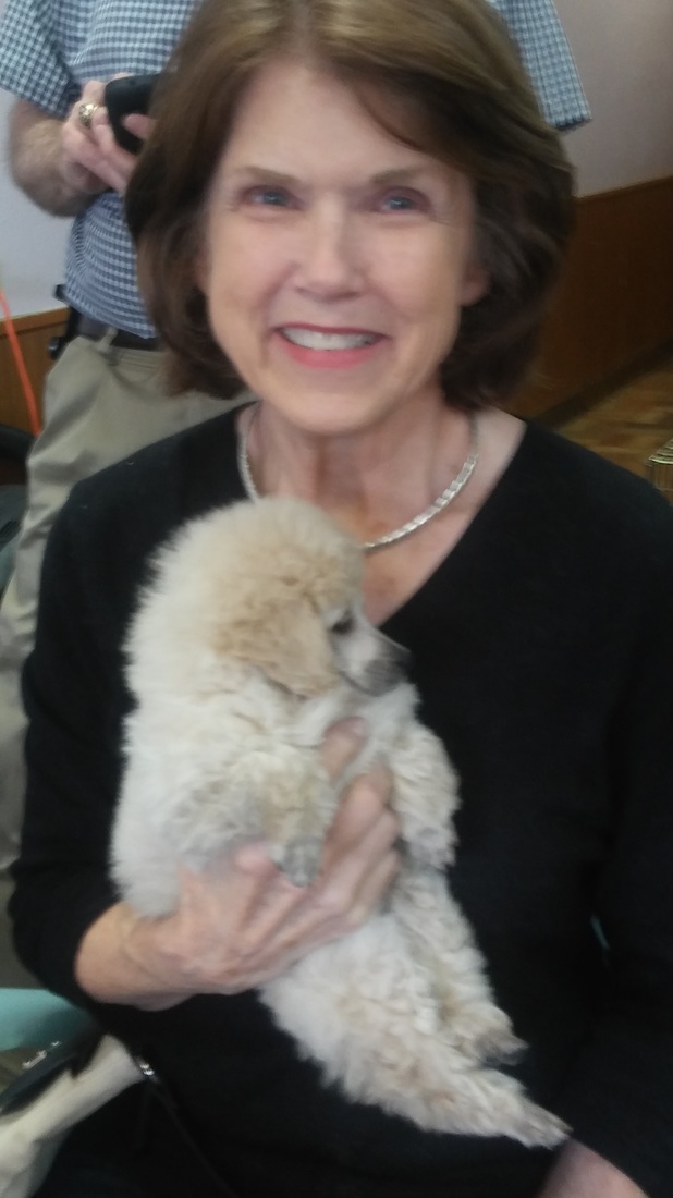 scissors and suds gallery Scissors and Suds Pet Grooming